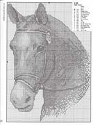 Schema punto croce Cavalli 02