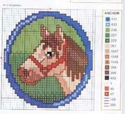 Schema punto croce Cavallo Testa