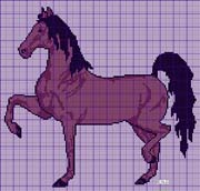 Schema punto croce Cavallo Troppo