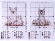 Schema punto croce gatti siamesi