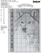 Schema punto croce Lupo 02