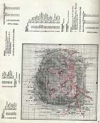 Schema punto croce Mouse B
