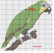 Schema punto croce Pappagallo 3
