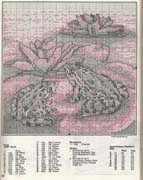 Schema punto croce Ranocchie B