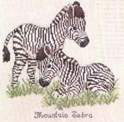 Schema punto croce Zebre 01