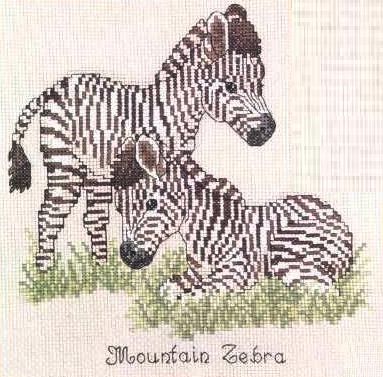 Schema punto croce Zebre 01