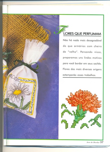 Schema punto croce Bordi Floreali 11