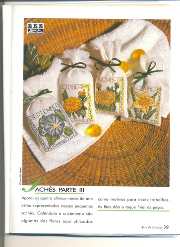 Schema punto croce Bordi Floreali 13