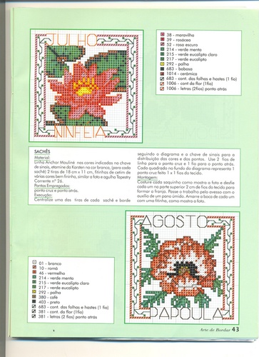 Schema punto croce Bordi Floreali 17