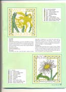 Schema punto croce Bordi Floreali 15