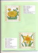 Schema punto croce Bordi Floreali 19