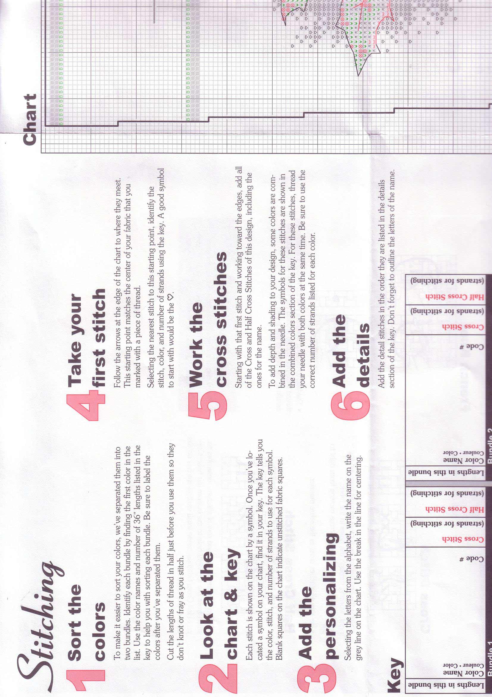 Schema punto croce Uccelli Neve 6