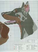 Schema punto croce Cane Nero B