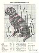 Schema punto croce Labrador