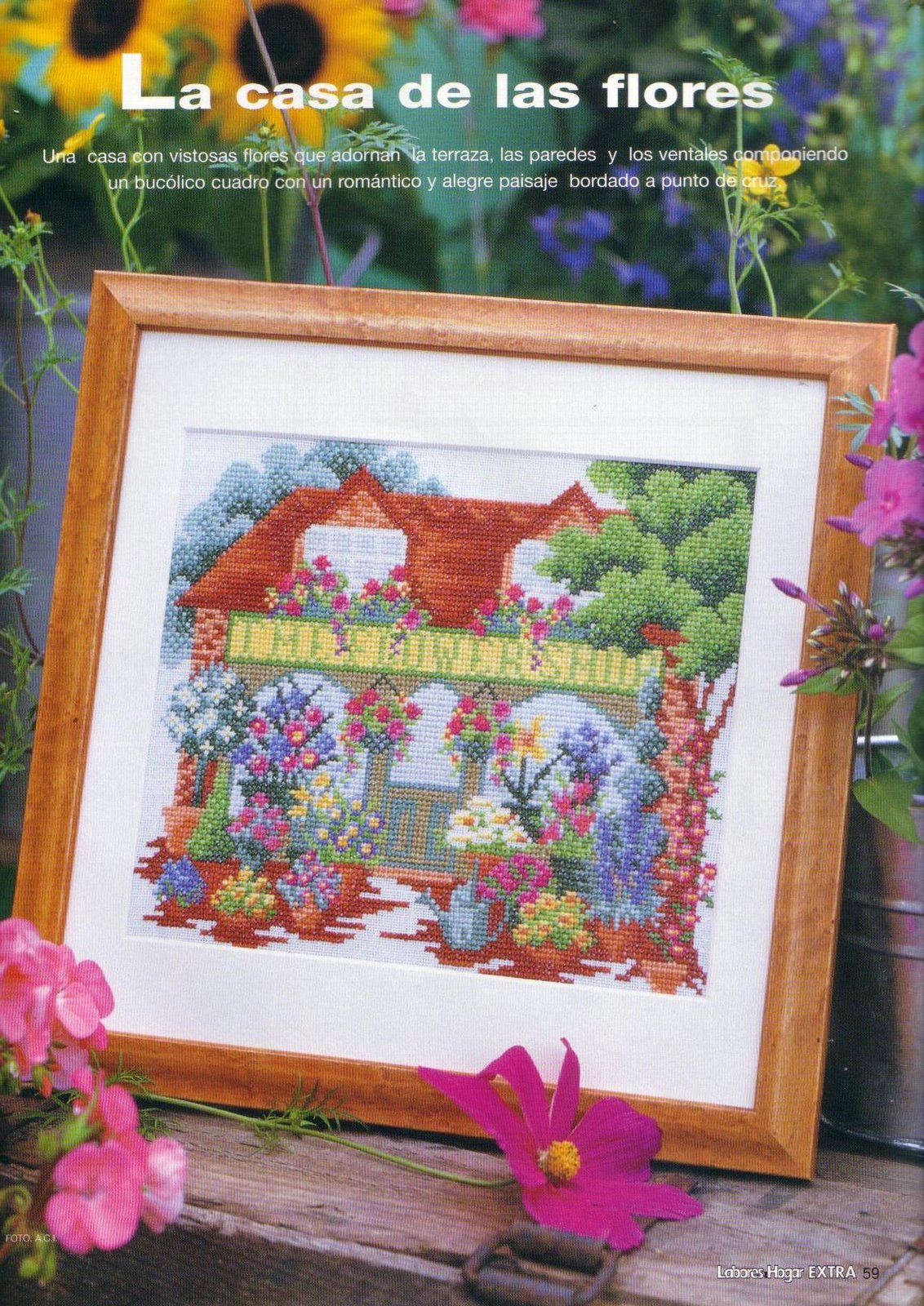 Schema punto croce Casa Las Flores 01