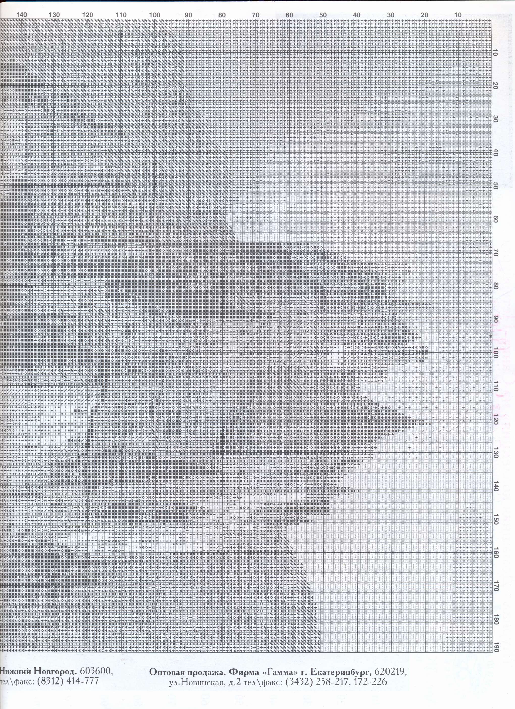 Schema punto croce Castello 13