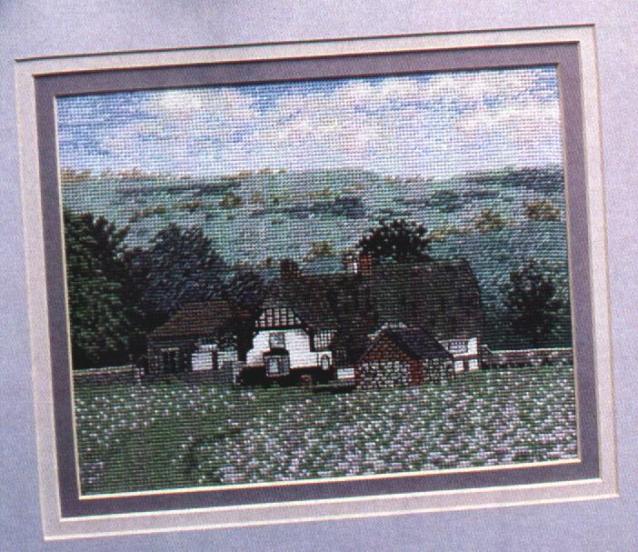 Schema punto croce In The Country 01