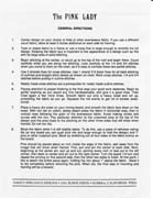 Schema punto croce The Pink Lady 09