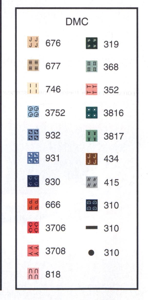 Schema punto croce Banda Country 03