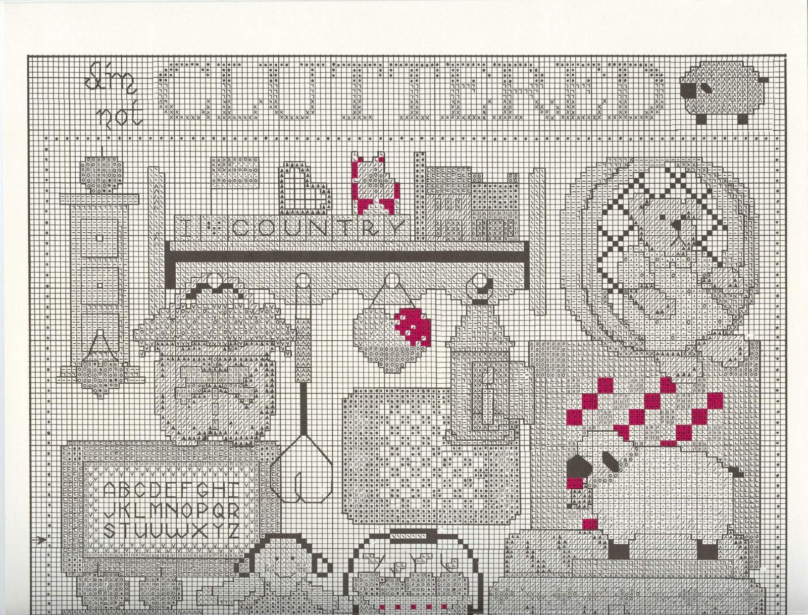 Schema punto croce Cluttered Country 02