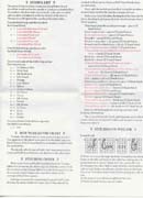 Schema punto croce Angelo Giardiniere 3