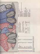 Schema punto croce Anna Amica 3