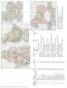 Schema punto croce Country Christmas 05