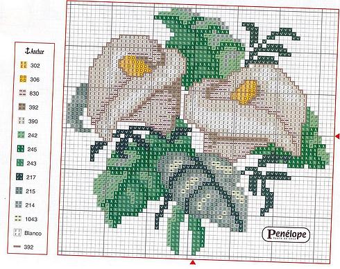 Schema punto croce Calle1