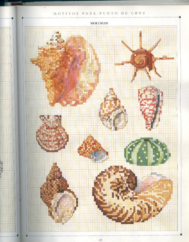 Schema punto croce Conchiglie2