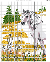 Schema punto croce cavallo