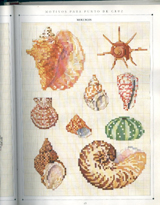 Schema punto croce conchiglie2