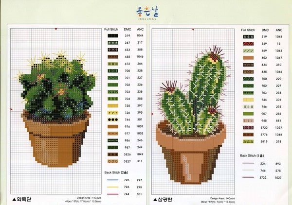 Schema punto croce Cactus 2