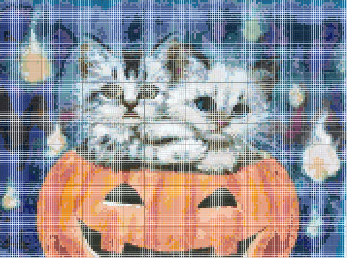 Schema punto croce Gatti halloween