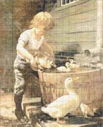 Schema punto croce Aiutante Mamma Anatra