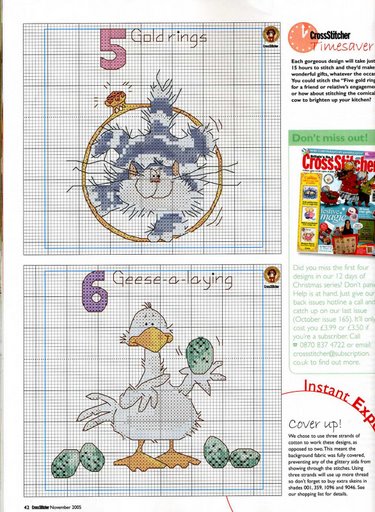 Schema punto croce Motivi pennuti 3