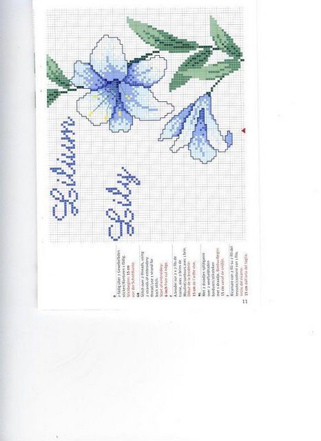 Schema punto croce Motivo floreale 5