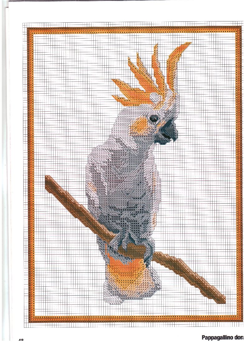 Schema punto croce Pappagallo