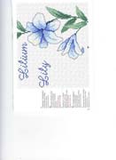 Schema punto croce Motivo-floreale-5