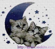 Schema punto croce gattini sulla luna