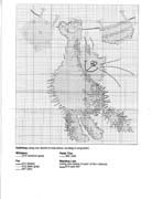 Schema punto croce gatto appeso 2