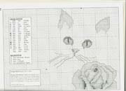 Schema punto croce gatto e rosa 1