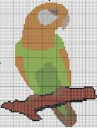 Schema punto croce pappagallo 3