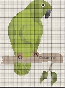 Schema punto croce pappagallo 5