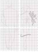 Schema punto croce sposi picasa