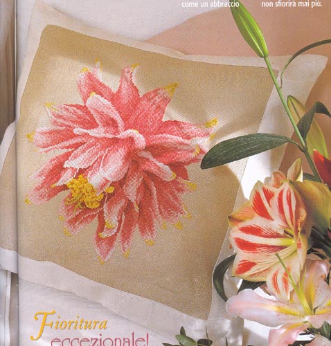 Schema punto croce Cuscino fuxia