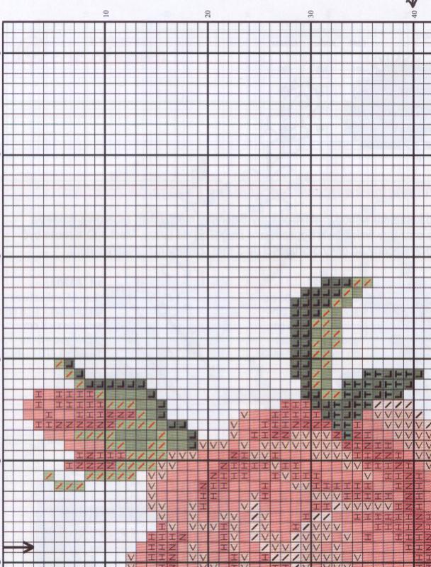 Schema punto croce Cuscino rose dmc 1