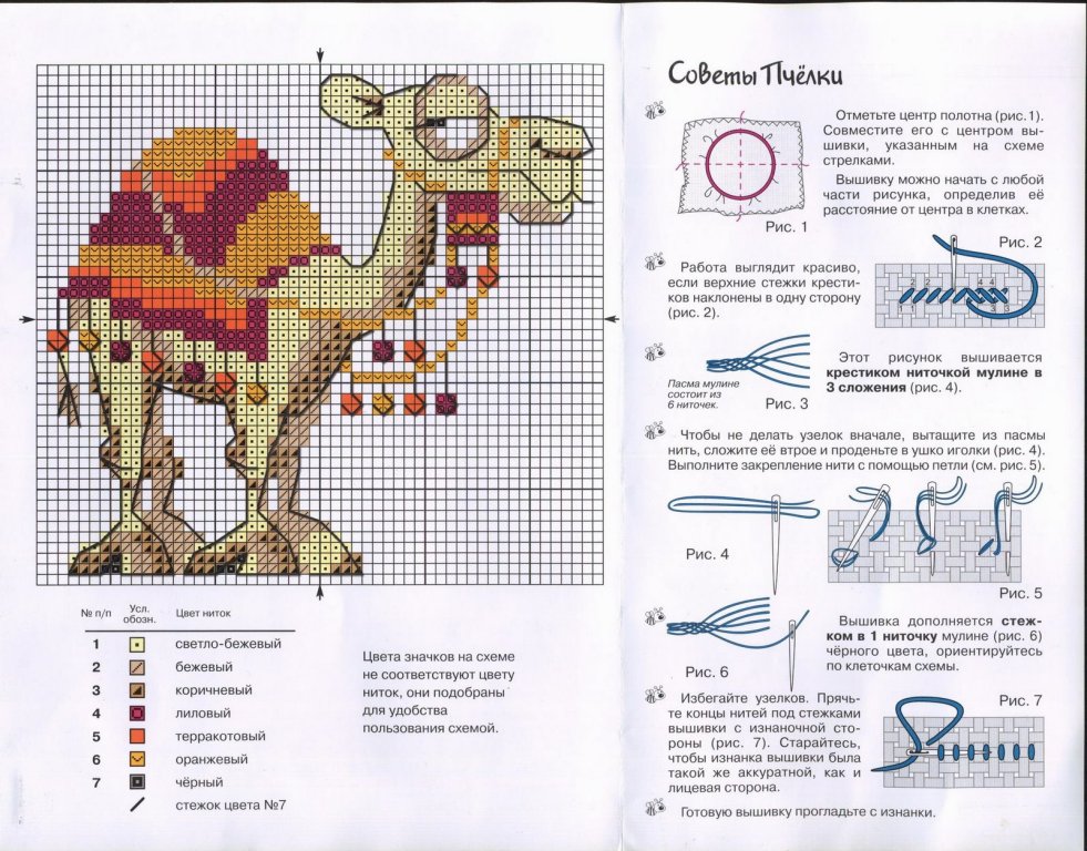 Schema punto croce Dromedario