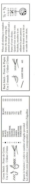 Schema punto croce Groovy dog 3