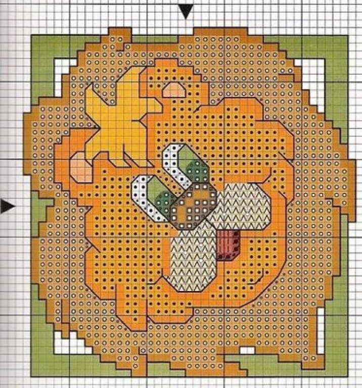 Schema punto croce Leo