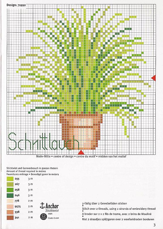 Schema punto croce Pianta 1